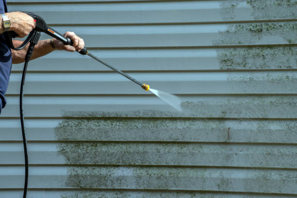 Best House Exterior Washing  in Fort Ashby, WV